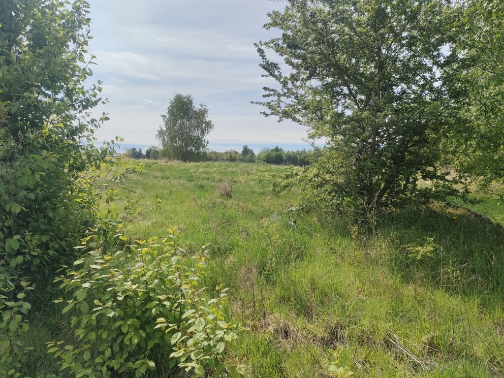 Lędzin działka budowlana na sprzedaż 1394m2 (7)