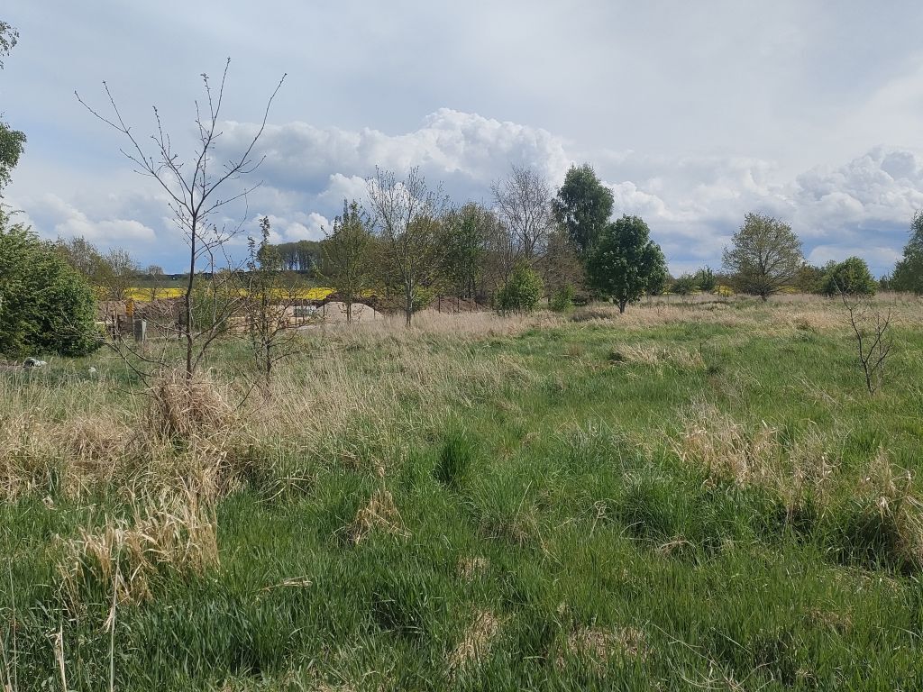 Lędzin działka budowlana na sprzedaż 1394m2 (8)
