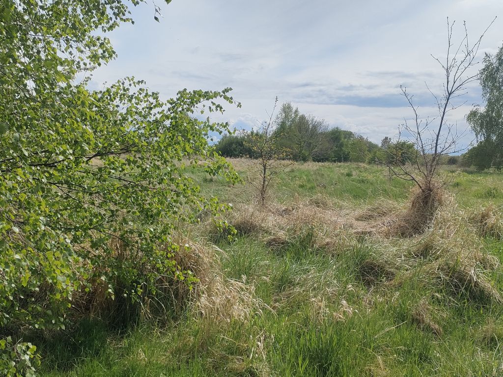 Lędzin działka budowlana na sprzedaż 1394m2 (9)