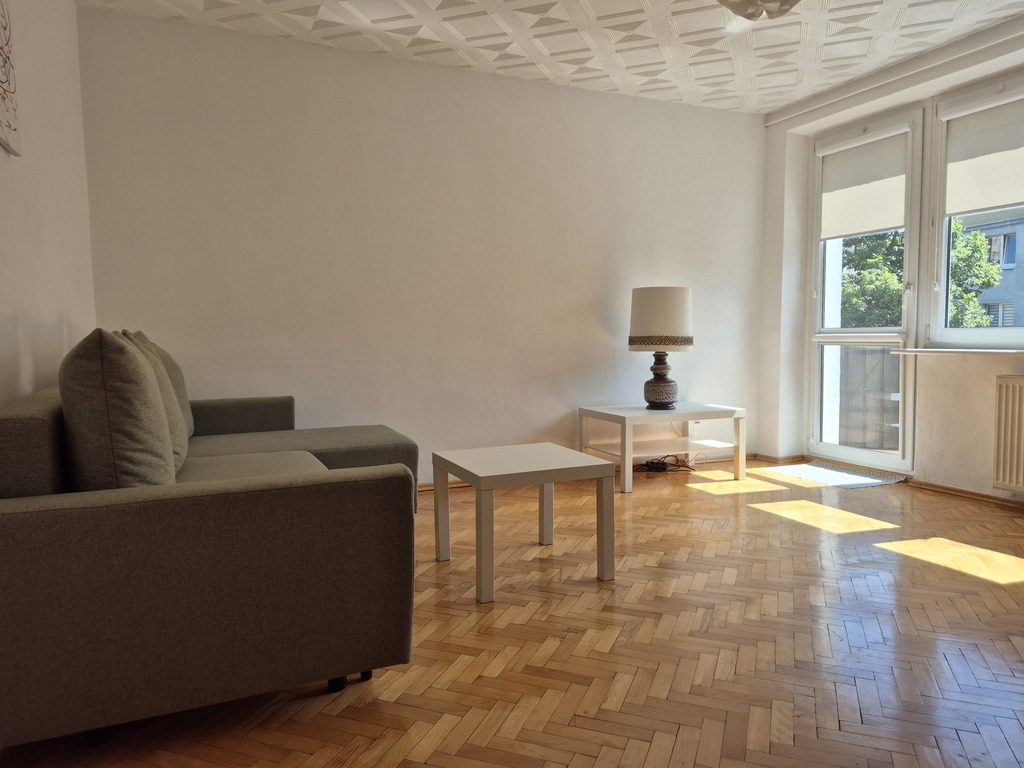 Śródmieście - duża kawalerka z osobną kuchnią (3)
