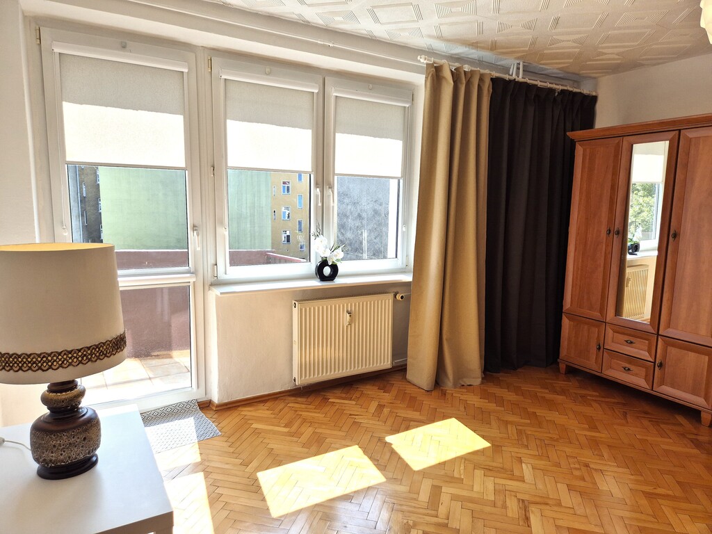 Śródmieście - duża kawalerka z osobną kuchnią (6)