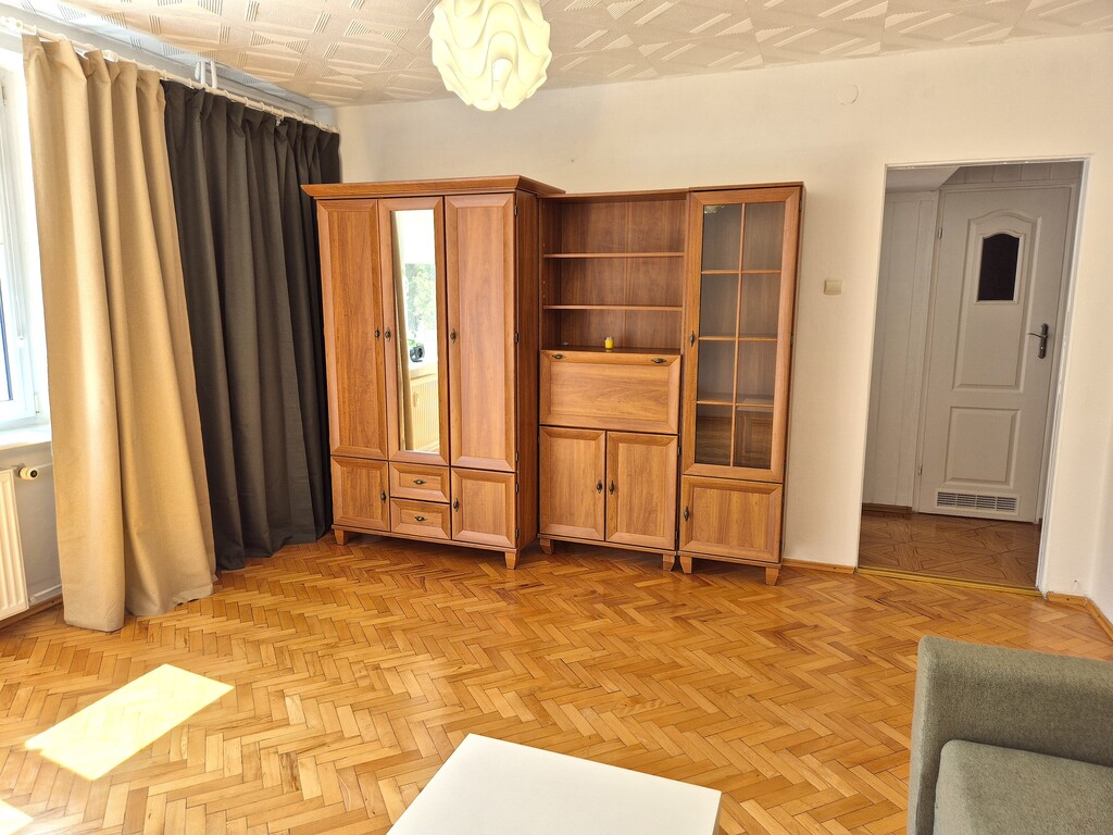 Śródmieście - duża kawalerka z osobną kuchnią (5)