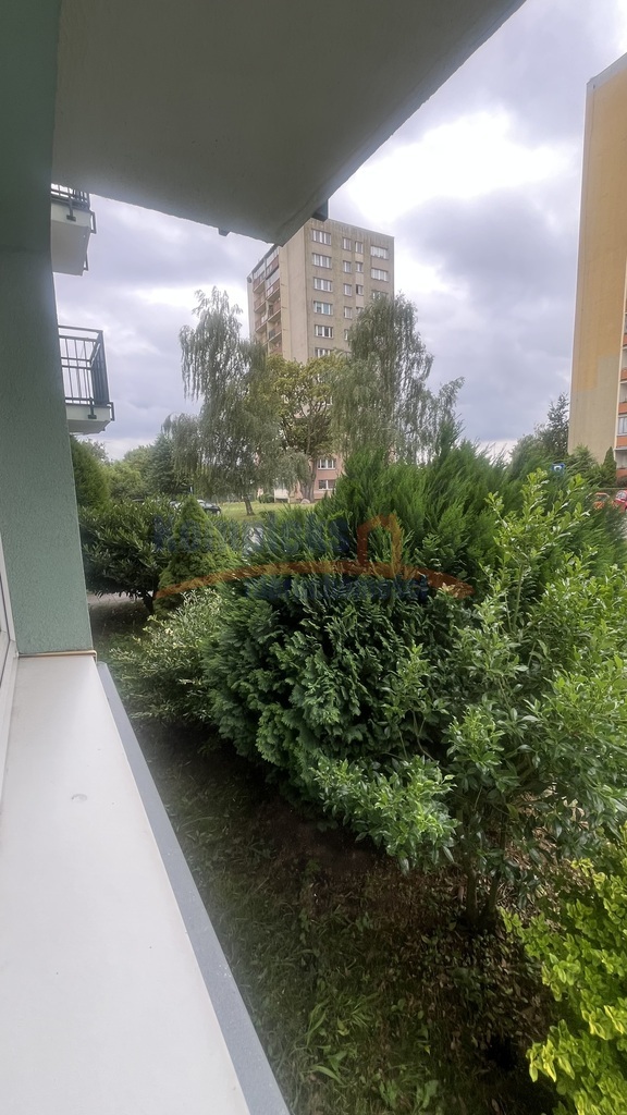 2 rozkładowe pokoje  ,parter/4 okol. Książąt. (1)