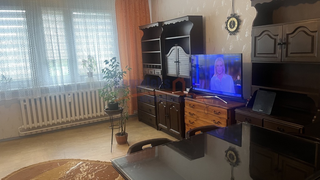 2 rozkładowe pokoje  ,parter/4 okol. Książąt. (2)