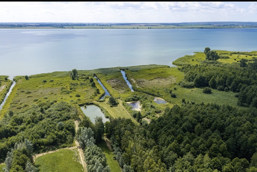 Działka nad jeziorem Miedwie z pomysłem na biznes (7)