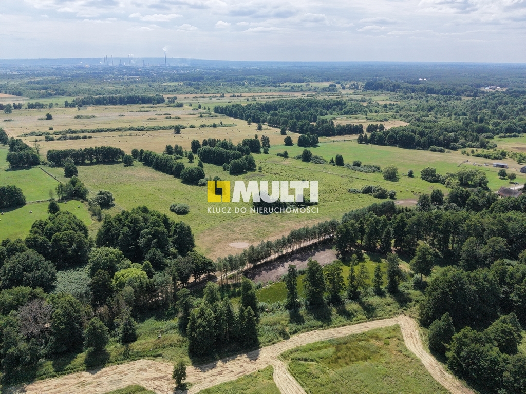 Działka z własnym stawem blisko zalewu (5)
