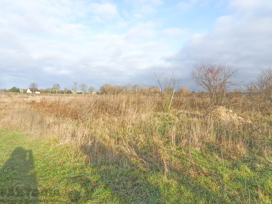 Stara Dąbrowa działka 1532 m2 55,48 zł/m2 (1)