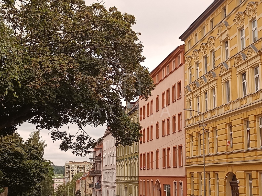 Cudowne mieszkanie w świetnej lokalizacji (2)