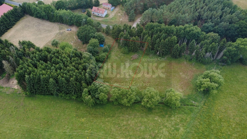 Działka Tanowo, świetna lokalizacja,duży potencjał (5)
