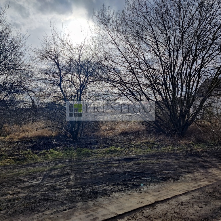 Działka pod budowę domu, 1000 m2 Dołuje (4)