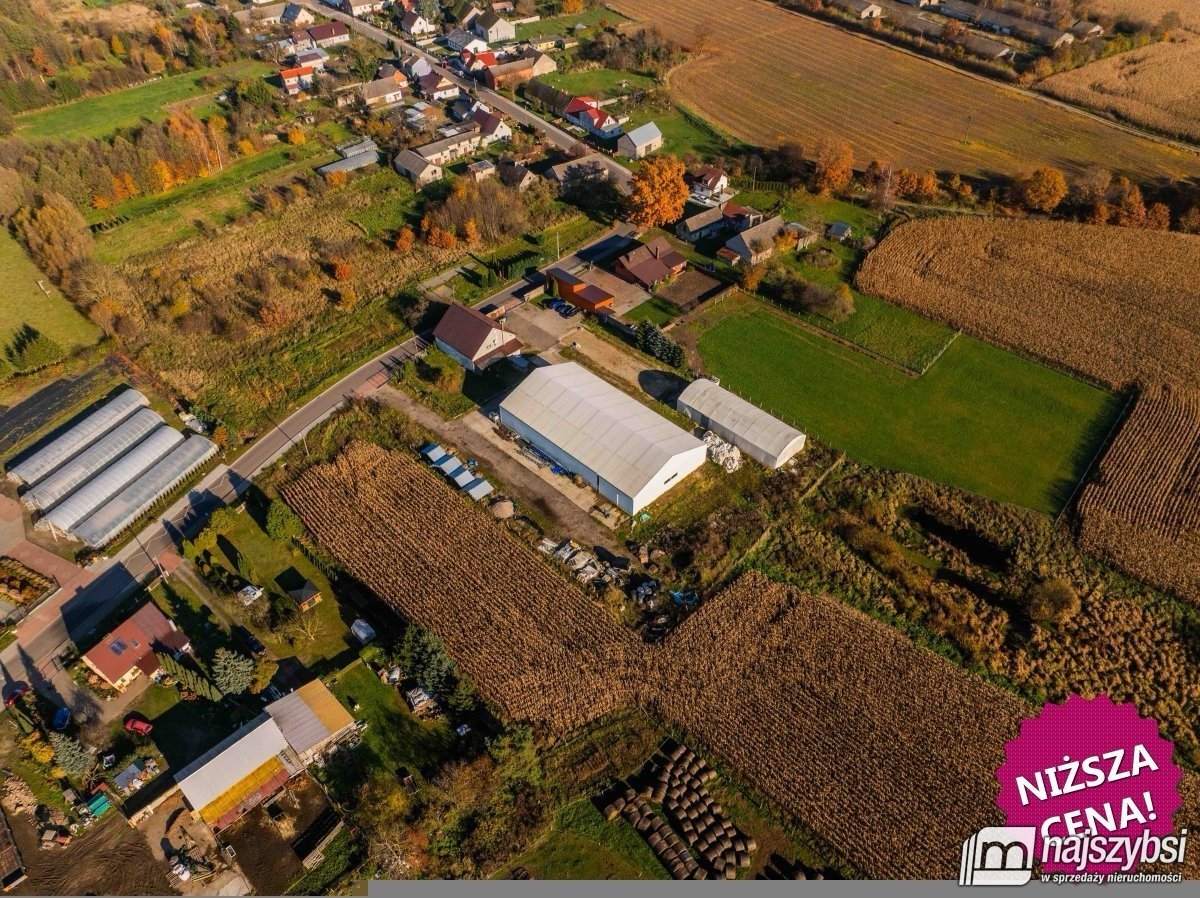Bienice - działka 9000 m2 I dwie hale 1150 m2 OKAZ (1)
