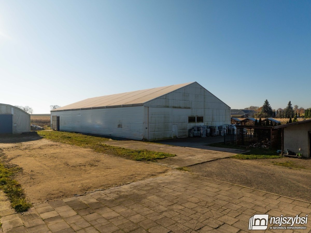 Bienice - działka 9000 m2 I dwie hale 1150 m2 OKAZ (5)