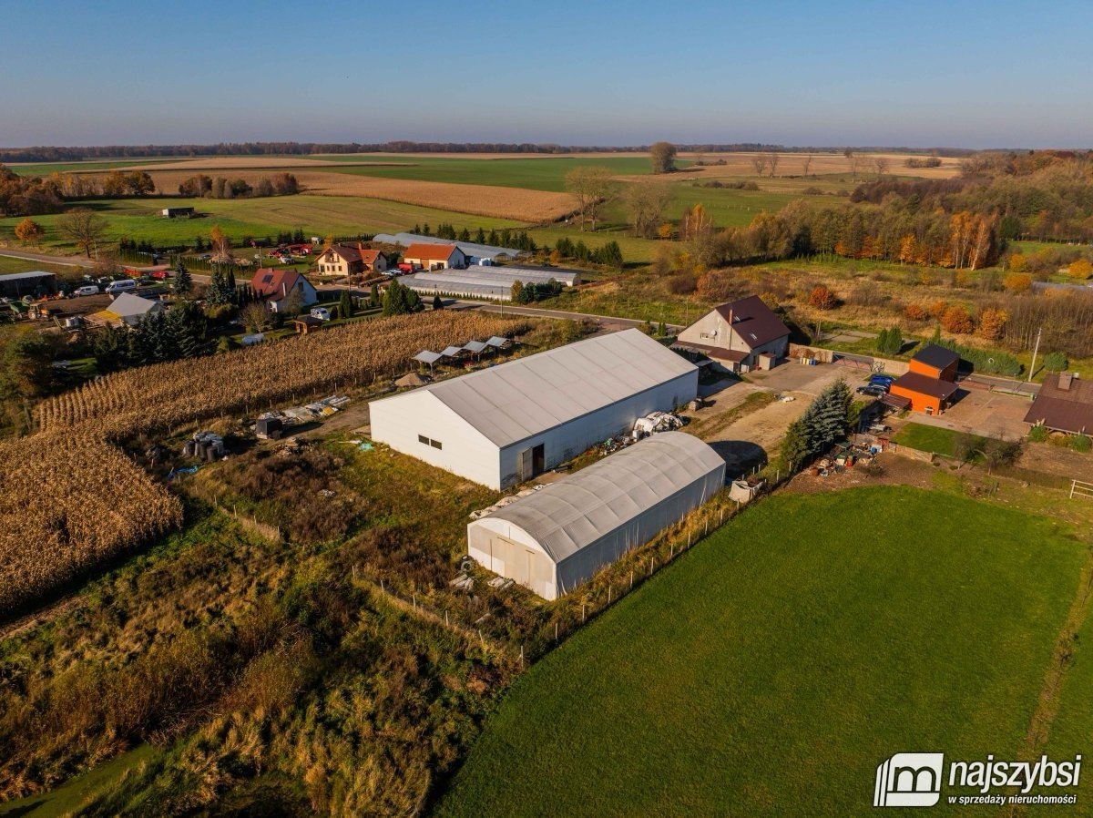 Bienice - działka 9000 m2 I dwie hale 1150 m2 OKAZ (6)