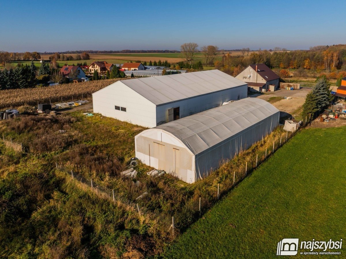 Bienice - działka 9000 m2 I dwie hale 1150 m2 OKAZ (7)