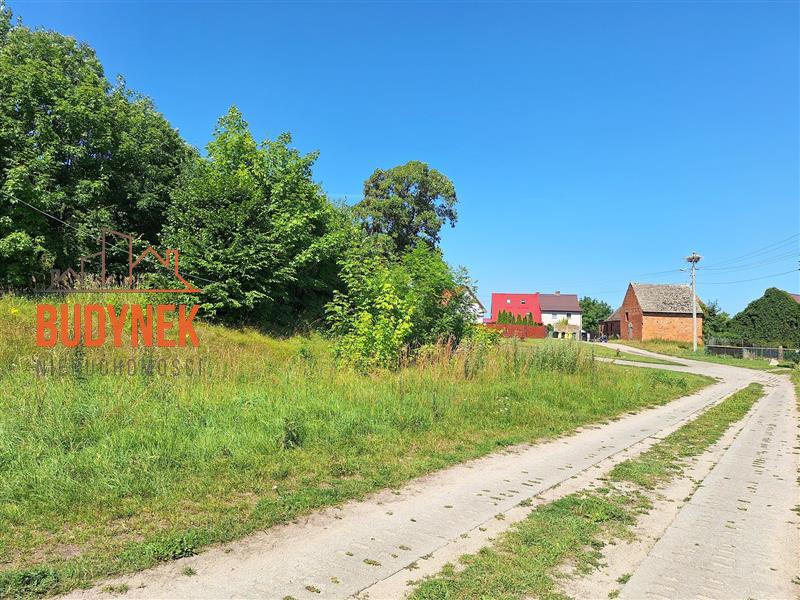 Działka budowlana - Zielnowo  (6)