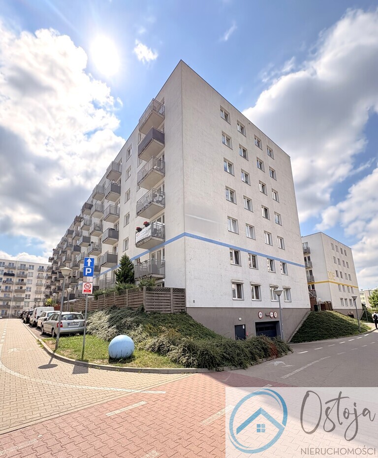 3 Pokoje I Balkon I Os. Pionierów I Nowe Miasto (18)