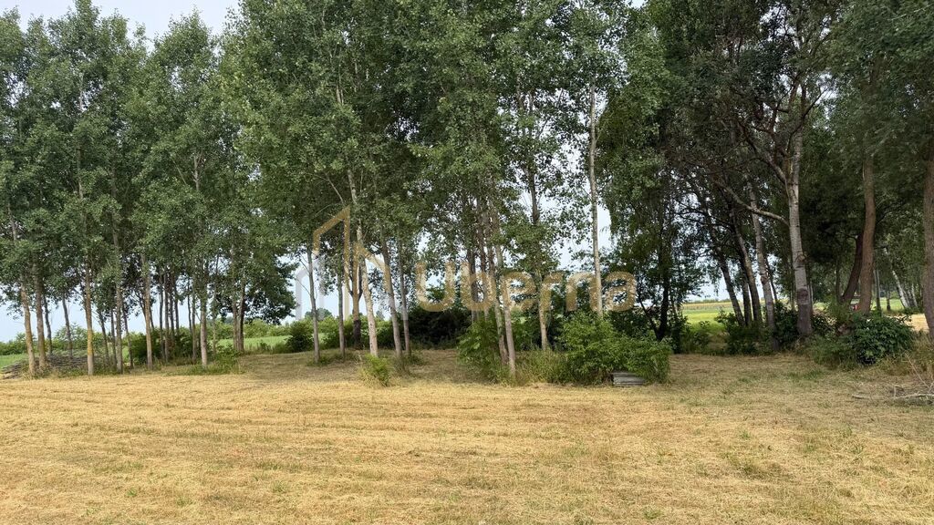 Wyjątkowa działka z wydanymi WZ (3)