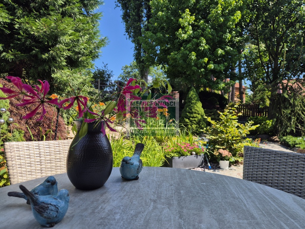 NIERUCHOMOŚĆ PREMIUM (30)