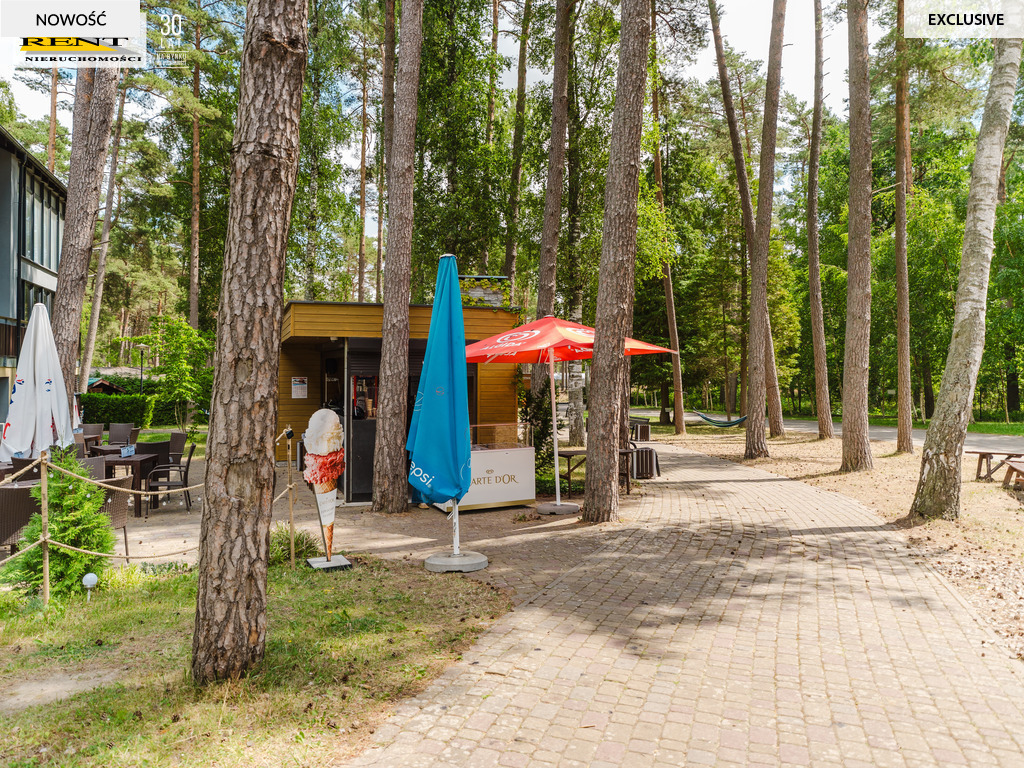 Apartament w środku nadmorskiego lasu (14)
