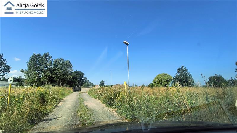 TYMIEŃ 3.800m2, WZ-budowa 3 budynków jednorodzinny (7)