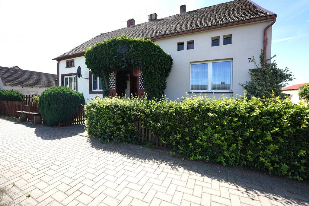 Okunica dom z potencjałem i dużą działką 2750 m2 (7)