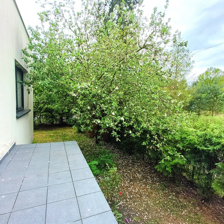 Dom parterowy Jezierzyce, Szczecin, działka 561 m2 (3)