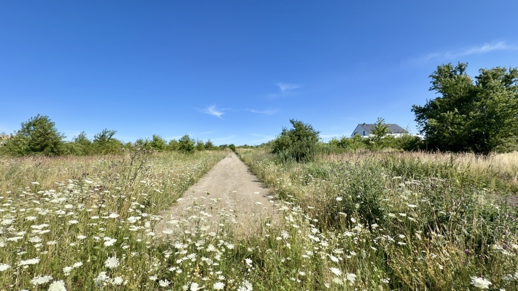 Wołczkowo | 805 m2 | MPZP | Badania gruntu | (1)