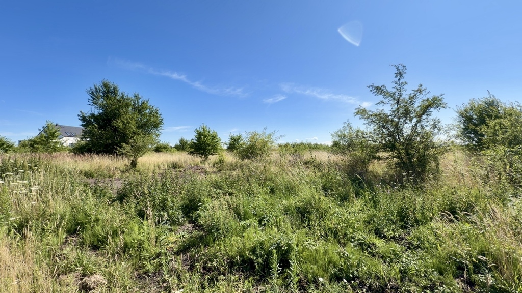Wołczkowo | 805 m2 | MPZP | Badania gruntu | (3)