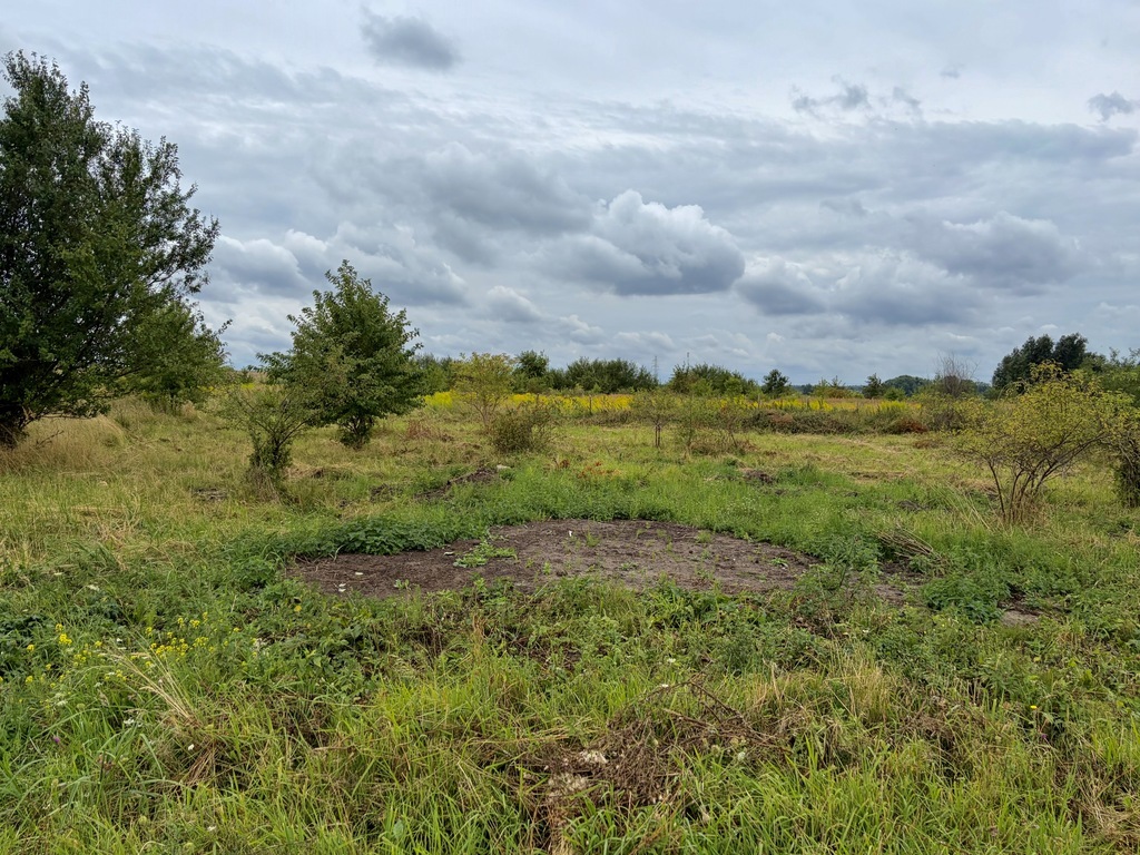 Wołczkowo | 805 m2 | Mpzp | Badania gruntu | (4)