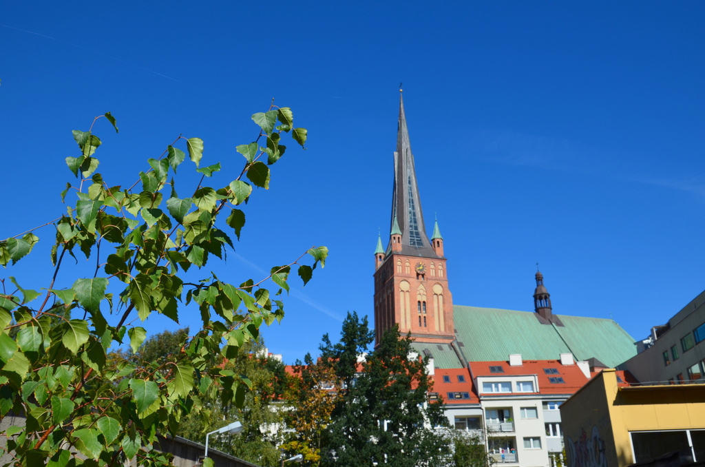 Mieszkanie, 2 pok., 42 m2, Szczecin Centrum (16)