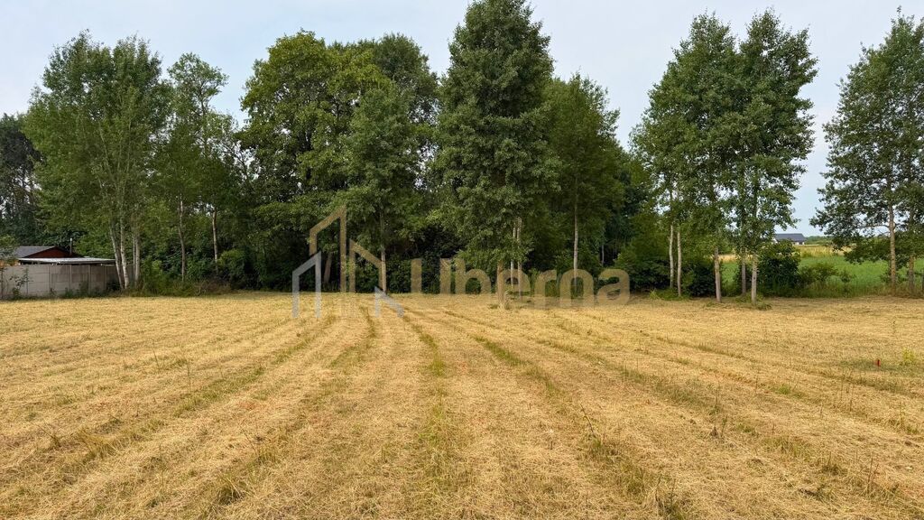 Działka z wydanymi WZ, 1250 m2 (4)