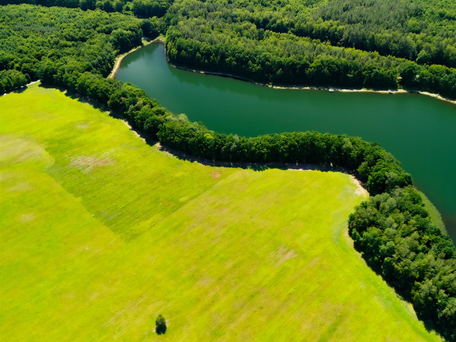 Działka siedliskowa - Żelisławie  (3)
