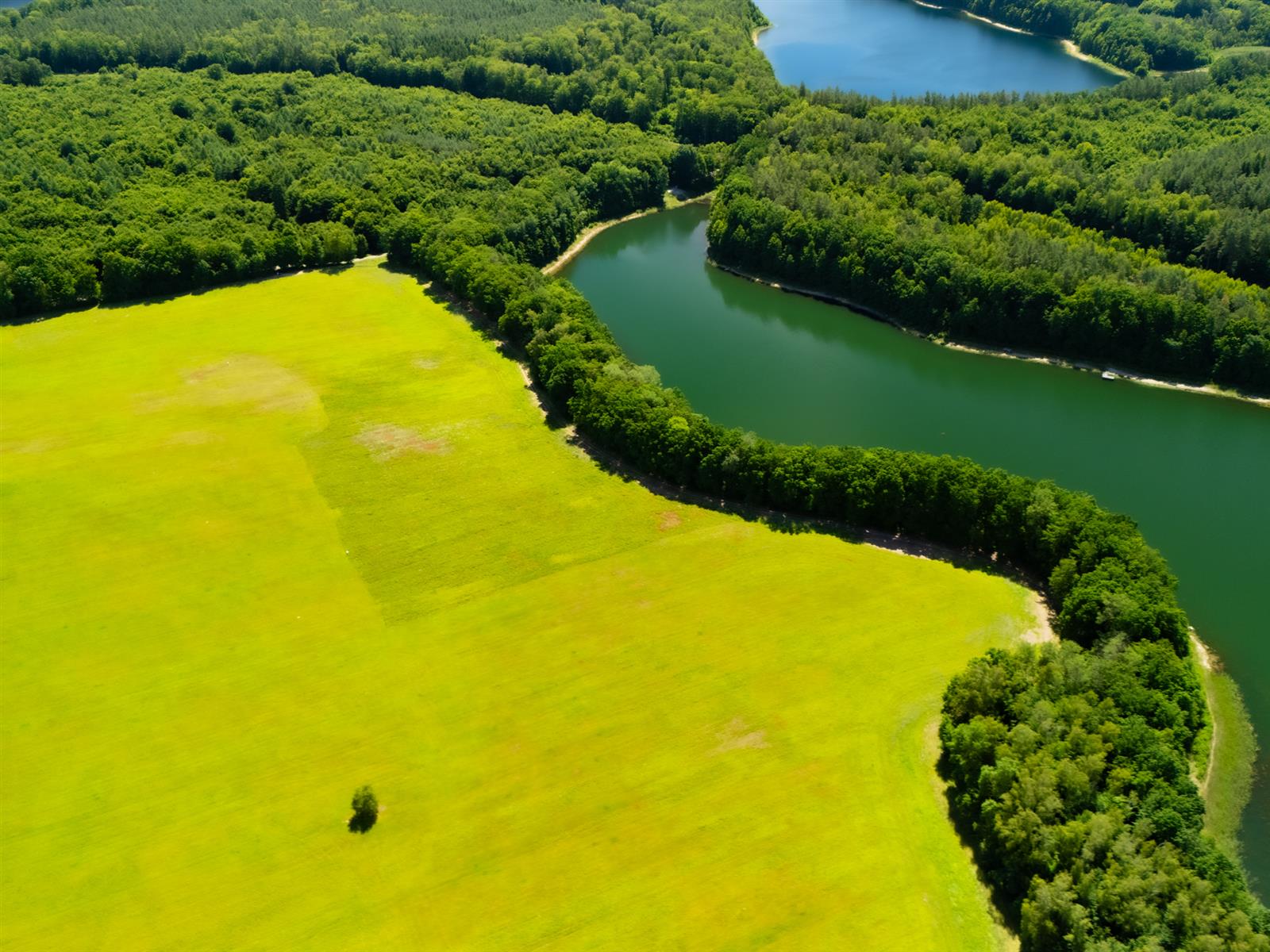 Działka siedliskowa - Żelisławie  (4)