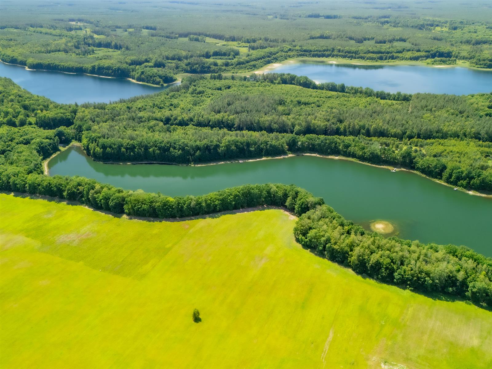 Działka siedliskowa - Żelisławie  (4)