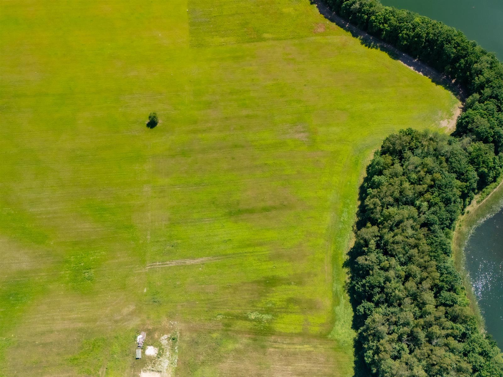 Działka siedliskowa - Żelisławie  (8)