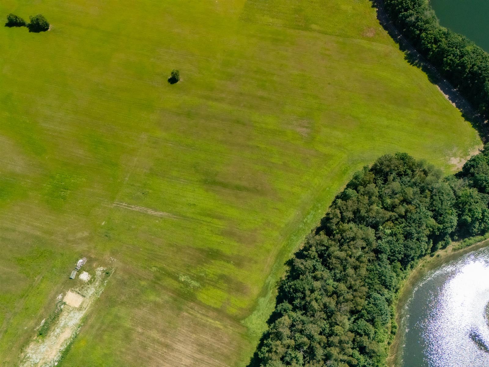 Działka siedliskowa - Żelisławie  (9)