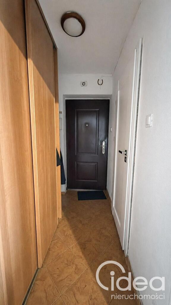 Kawalerka na wynajem w  Centrum miasta (7)