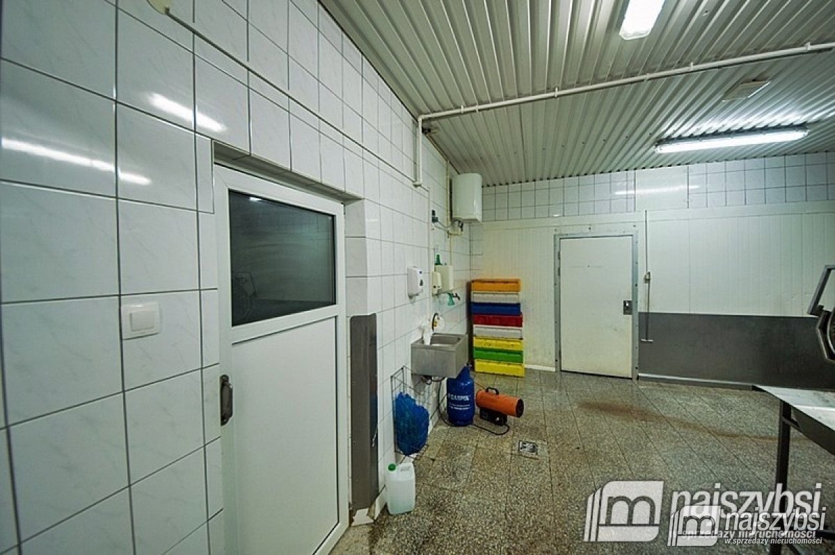 Budzieszewice- dom ze stawem i budynkiem produkcji (38)