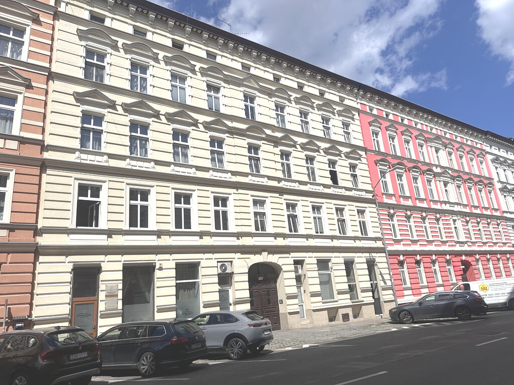 101m2 ul. Łokietka, I piętro, odnowiona kamienica (14)