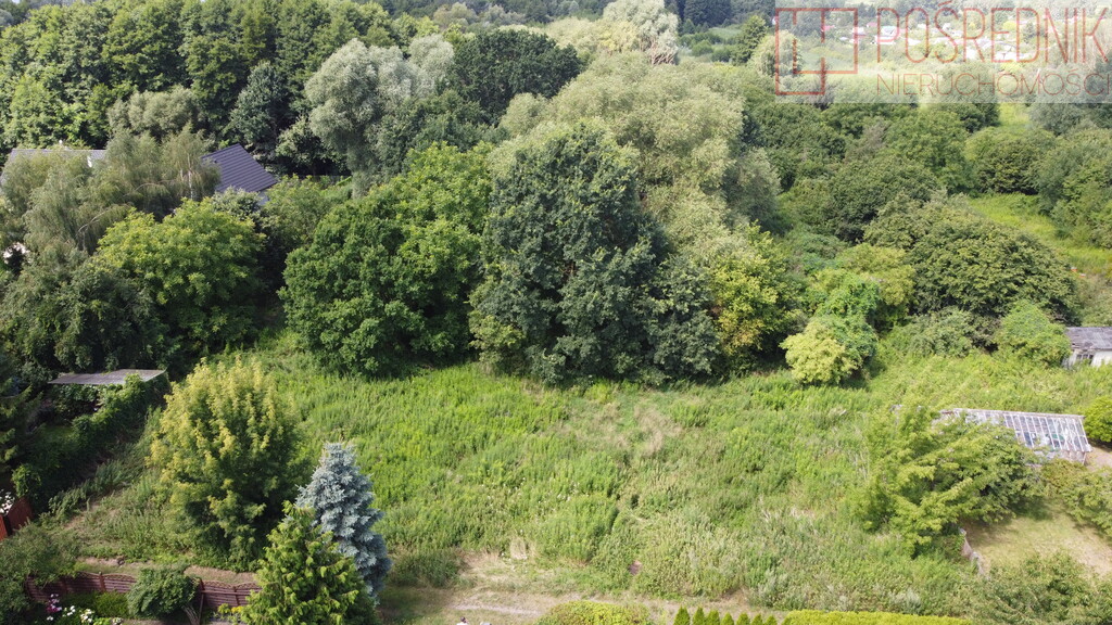 Szczecin Dąbie perełka 3460m2 (2)