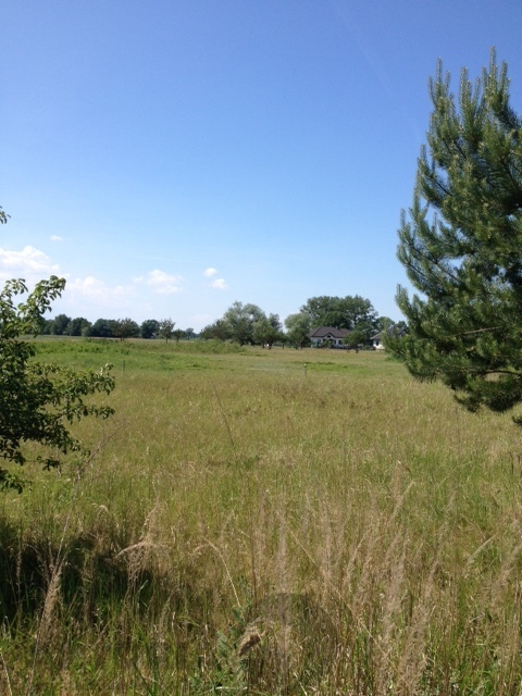 Lubczyna działka 900 m od J. Dąbskie 1301 m2, (3)