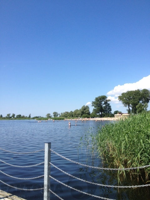 Lubczyna działka 900 m od J. Dąbskie 1301 m2, (9)