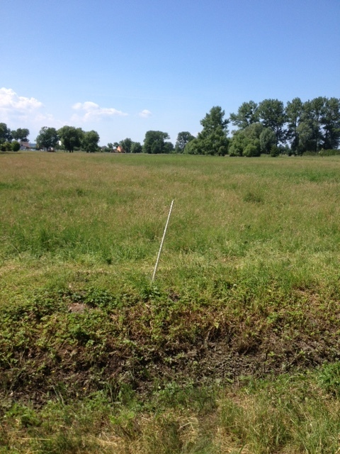 Lubczyna działka 900 m od J. Dąbskie 1301 m2, (12)