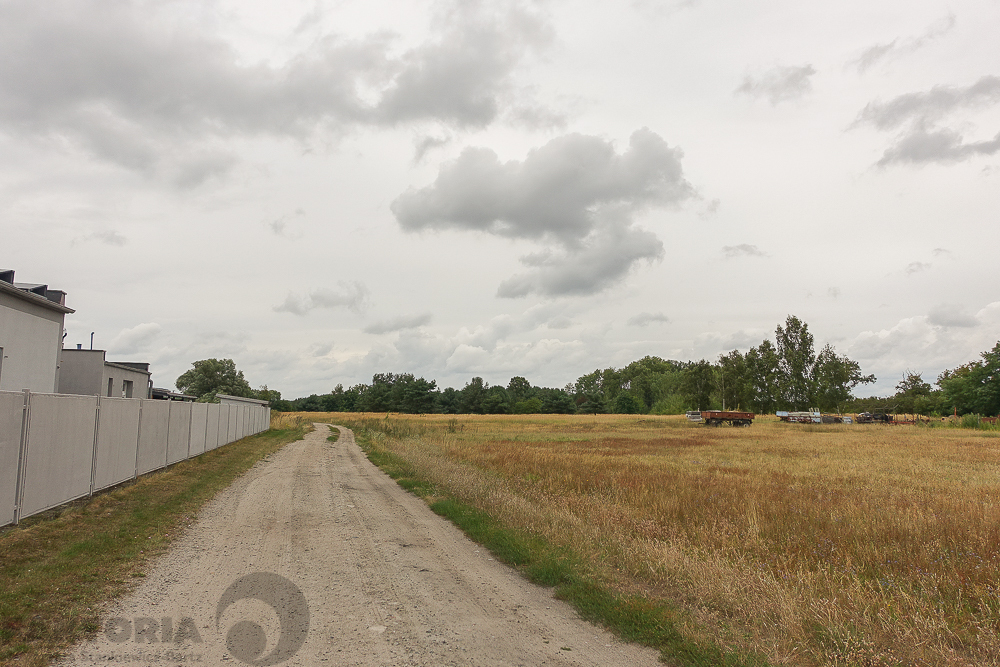 Lubczyna działka 900 m od J. Dąbskie 1301 m2, (16)