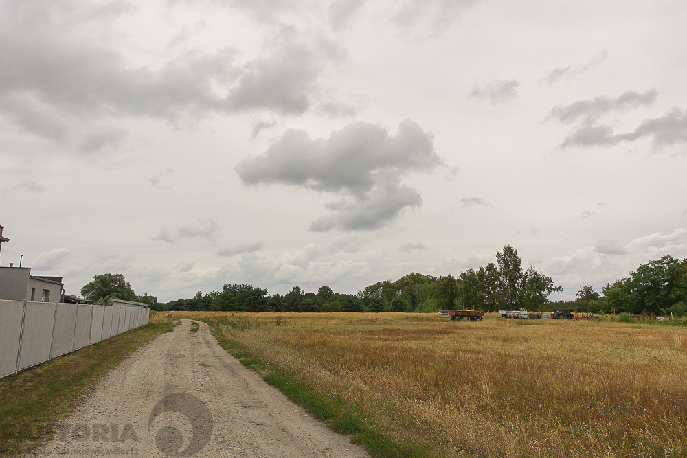 Lubczyna działka 900 m od J. Dąbskie 1301 m2, (18)