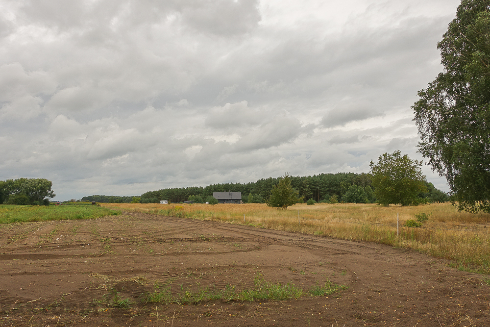 Lubczyna działka 900 m od J. Dąbskie 1301 m2, (19)