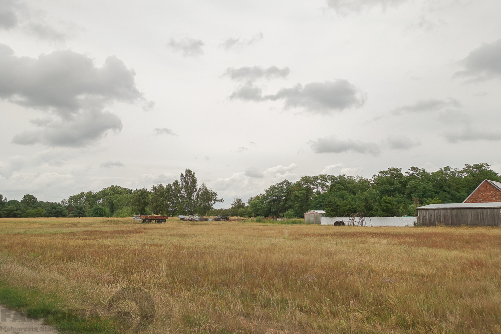Lubczyna działka 900 m od J. Dąbskie 1301 m2, (20)
