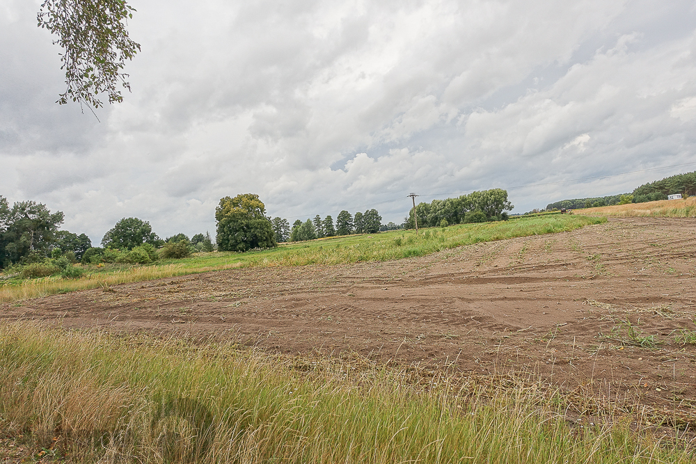 Lubczyna działka 900 m od J. Dąbskie 1301 m2, (24)