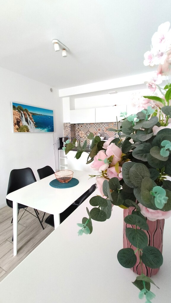 Nowoczesny apartament 38 m2 w Dziwnówku. (3)