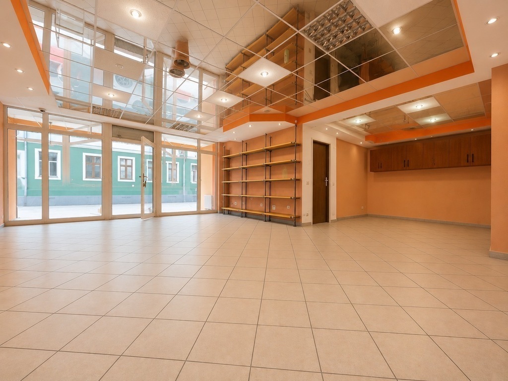 Kamienica w ścisłym centrum miasta-duży potencjał (5)